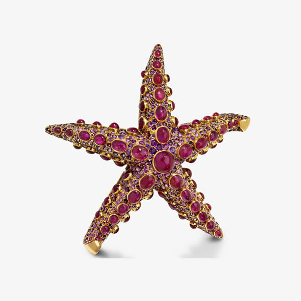 The Broosh…The Starfish…And Doria’s Power Pin | Are Brooches Trending Again?