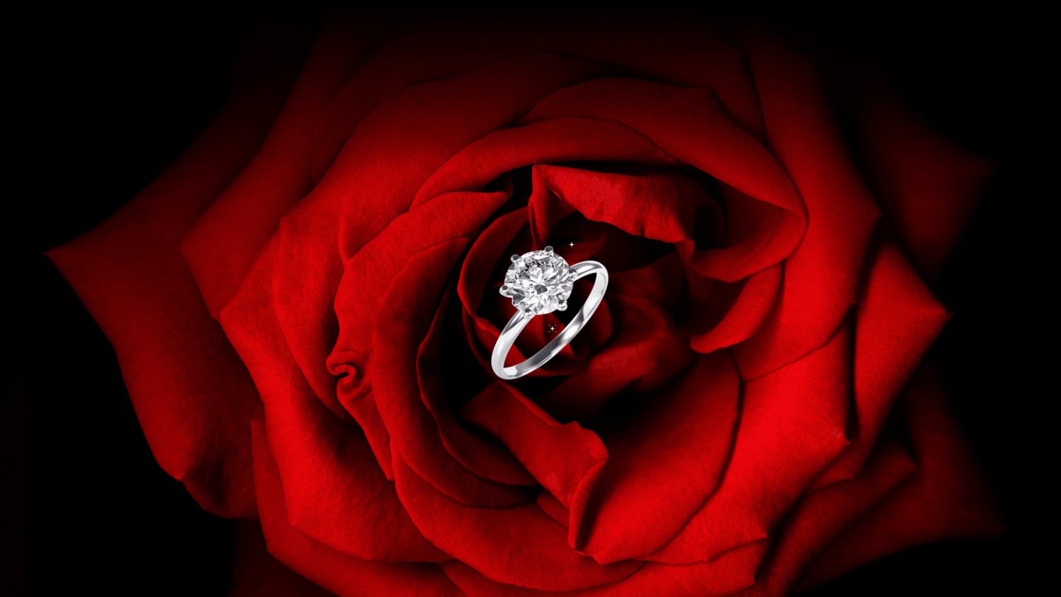 Valentine's Day Deals