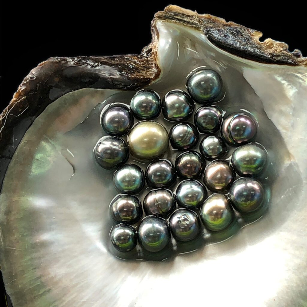Pearls score a 2.5 out of 10 on the Mohs Scale of Mineral Hardness, which means they are very 